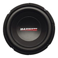 Maxwatt Storm MS-10HQ