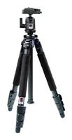 Benro A-350EX/BH-0