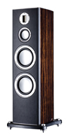 Monitor Audio Platinum PL300