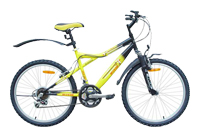ATEMI Cruiser