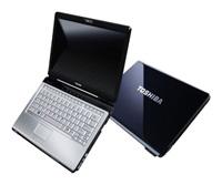 Toshiba SATELLITE U300-153 (Pentium Dual-Core 1730Mhz/13.3